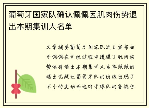 葡萄牙国家队确认佩佩因肌肉伤势退出本期集训大名单